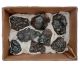 Hematite (beautiful kidney-shaped crystallizations) from Tawsli, Morocco.