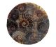 Coasters made from various ammonites from Madagascar.