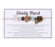 Ruw edelsteen Tijgeroog-Amazoniet-Jaspis-Amethist-Bergkristal armbandje op leuk verkoopkaartje met beschrijving 