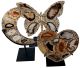 Butterfly, heart or moon inlaid with real natural agates, on a very beautiful stand, made by a famous artist.