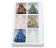 Frogs XL in Lapis Lazuli, Dalmatian Jasper, Aventurine, Tiger eye, rose quartz & Opaline