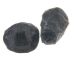 Trilobite small (2-3 cm) so called 
