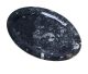 Fossil plate hand polished from Morocco NOTE; Currently, only brown signs available