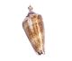 Shell Pendant in 925/000 silver gilt.