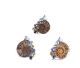 925/000 ammonite pendant with genuine gemstones