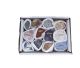 12 beautiful Brazilian rough stones in gift box.