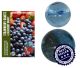 Boules de Quartz Blueberry ou Andara-Obsidienne 