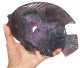 Agate fish with Dusy minerals such as Amethyst, a beautiful eye-catcher of great quality.
