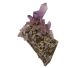 Amethyst found in very beautiful clusters in Vera Cruz, Mexico. Very nice collector's item.