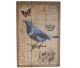 Oiseau (bleu) & papillon rouge sur peinture en bois 
