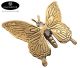 Bronze Butterfly 70x65mm made in Indonesia. (delivered in gold-colored bronze)