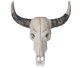 Buffel schedel gemaakt van hout, waarheidsgetrouw gegraveerd in prachtig hout.