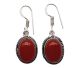 Carnelian “silver” free-form earrings in well-set craftsmanship (The shape varies per set of earrings, supplied as an assortment)