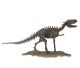 Squelette de dinosaure canadien