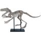 Replica T-Rex dinosaure partrouver original