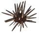 Granger Sea urchin XXL from England (We pack them well, but are transported at our own risk)