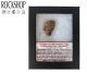 Pfeilspitzenfragment der ältesten primitiven Population in Luxuskassette. Nordafrika (25.000–45.000 Jahre alt)