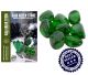Gaia green stone van Mount St. Helen U.S.A..