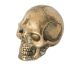 Crâne humain rituel en fonte d'or 