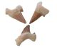 Shark tooth medium from Erfoud / Morocco