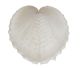 Coeur (coquille naturelle en forme de coeur) 