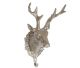Deer trophy wall / rack bronze from Canada