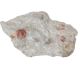 Hessonite (orange Garnet) in parent rock from Kunar in Afghanistan '