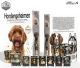 Jeu premium, Secrets de Chiens. Cartes pour chiens avec affirmations et faits. Jeu de 50 cartes.