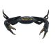 Crabe de bronze XXL
