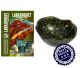 Labradorite bowl (4.3 kilos and 260x200x110 mm)