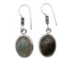 Labradorite “silver” free-form earrings in well-set craftsmanship (The shape varies per set of earrings, supplied as an assortment)