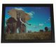 3D (Three-dimensional) painting with a lot of depth with Elephants in the wild.