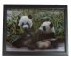 3D (Three-dimensional) painting with a lot of depth with 2 beautiful Giant Pandas.