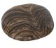 Stromatoliet uit Peru, platte steen