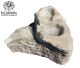 Pond/fountain basin of green aragonite. (105x104x44 cm and 290 kilos)