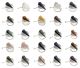 Pendentifs (le type de pendentif le plus vendu au monde) OFFRE FORFAIT 100 pendentifs livrés assortis. (chez 10-15 espèces)