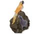 Beautiful Orange Calcite Parrot placed on beautiful Uruguay Amethyst.