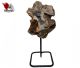 Rock crystal with occasional Amethyst (Drusy) on metal stand from Trenggalek East Java, Indonesia.
