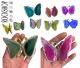 Achat-Schmetterlinge, eine neue Kollektion mit etwas weniger Details, aber zu einem erschwinglichen Preis.