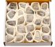 Smoky quartz points collection box with 2-2.3 kilos of natural Smoky quartz from Corinto in Brazil.