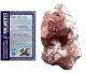 Roze Amethist ruw (clusters-klein) uit Patagonië in Argentinië. Mooie en zeldzame steen.