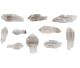 Scepter quartz points 10 pieces, from Mongolia