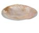 Bowl polished with silver beze made from shell.