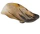 Schaal XXL glad gepolijst op chromen sokkel gemaakt van Buffelbeen uit Afrika
