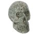 Kiwi steen schedel uit Nieuw Zeeland (EXCLUSIEF GEINTRODUCEERD DOOR TIMMERSGEMS SINDS MAART 2015)