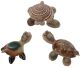Schildpadden gemaakt van schelp