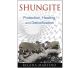 Shungite Protection, Healing, and Detoxification By Regina Martino (English language)