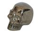 Pyriet schedel uit Peru in een bijzonder gave gravering.
