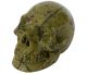 Atlantisiet schedel XL uit Dundas Australië