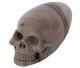 Lingam skull XL size